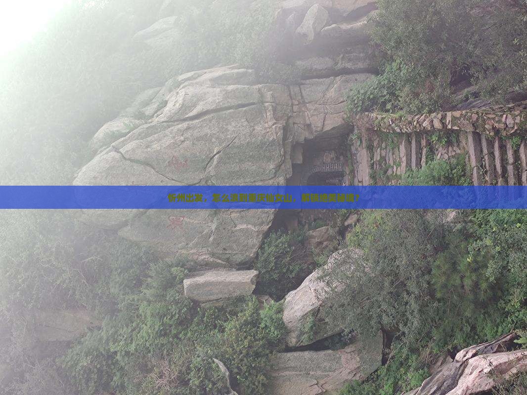 忻州去重庆仙女山哪里玩