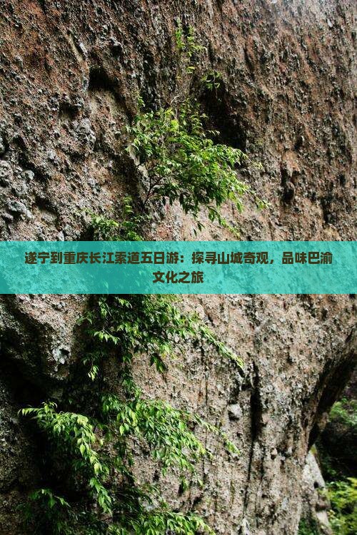 遂宁到重庆长江索道五日游