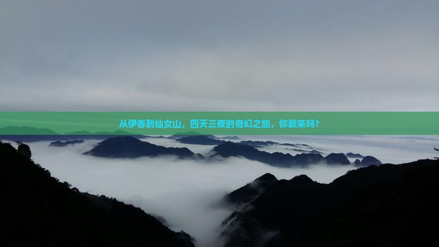 伊春到重庆仙女山四日游
