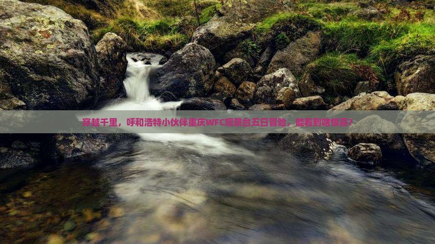 呼和浩特去重庆wfc观景台五日游