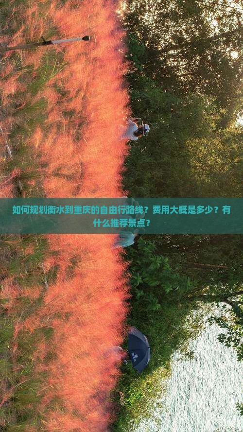 衡水去重庆自由团