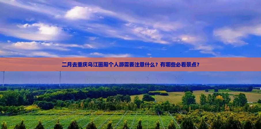 二月到重庆乌江画廊个人游