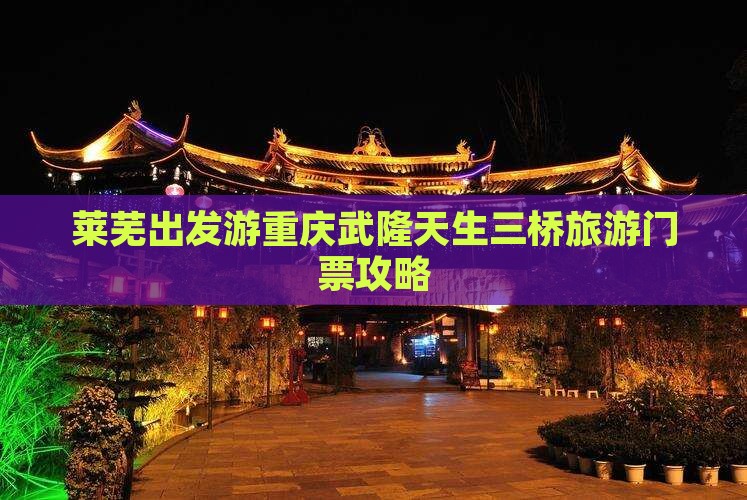 莱芜去重庆武隆门票