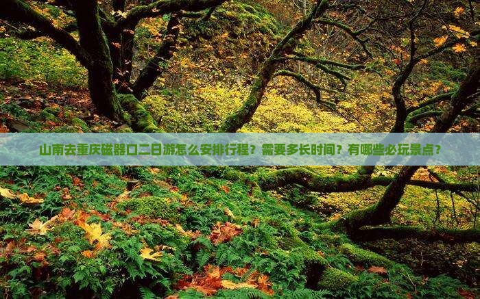 山南去重庆磁器口二日游