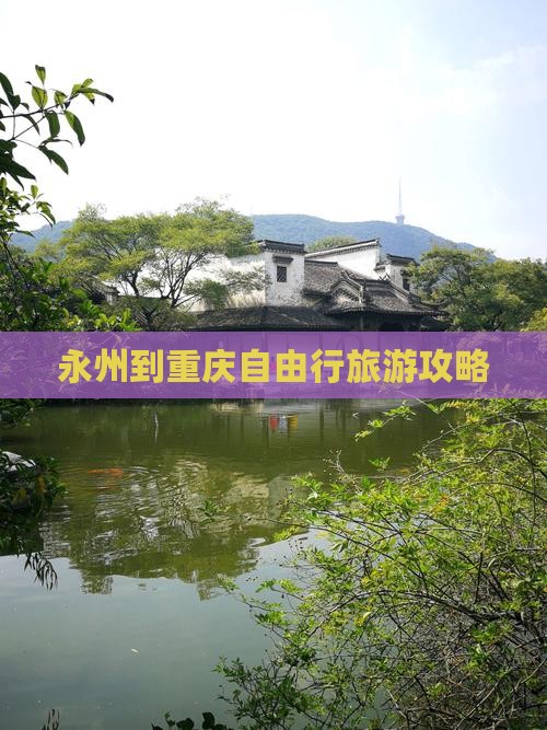 永州去重庆自由团
