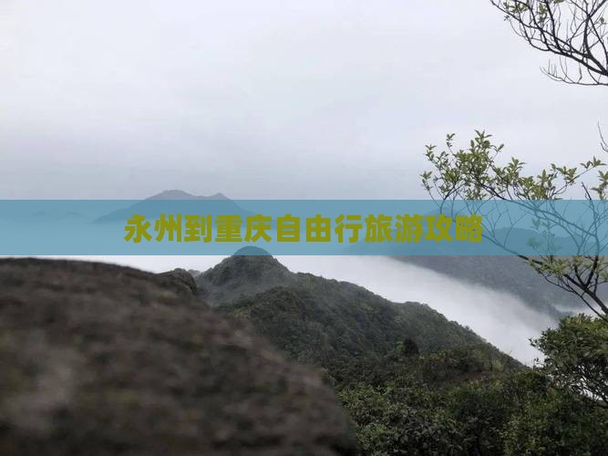 永州去重庆自由团