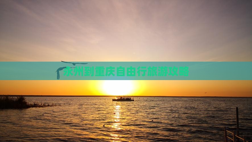 永州去重庆自由团