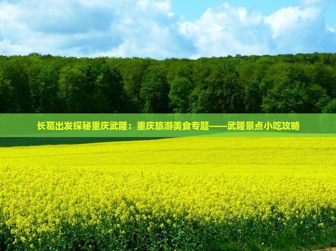 长葛到重庆武隆旅游小吃