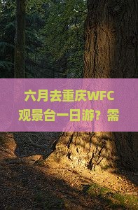六月去重庆wfc观景台一日