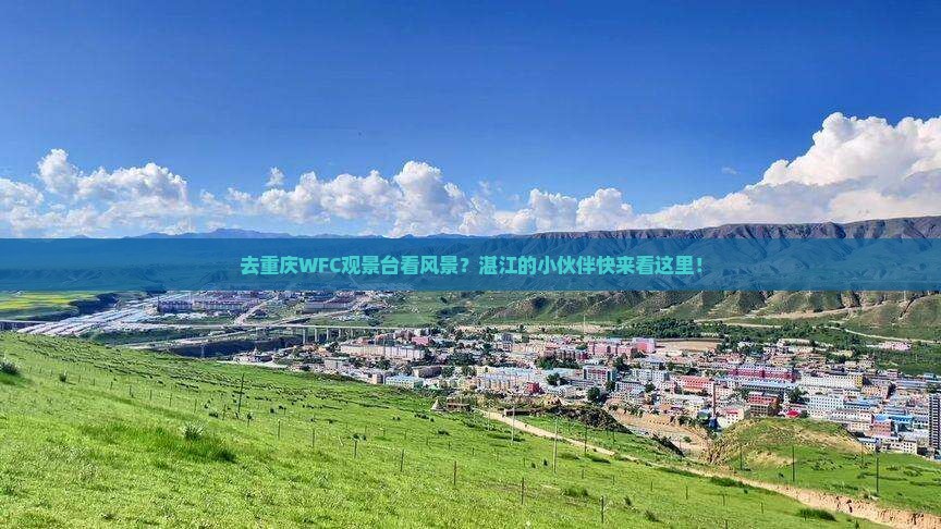 湛江到重庆wfc观景台门票