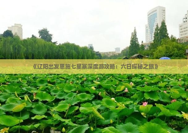 《辽阳出发恩施七星寨深度游攻略：六日探秘之旅》