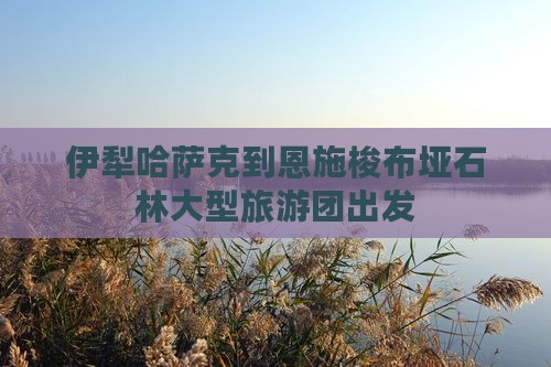 伊犁哈萨克到恩施梭布垭石林大型旅游团出发