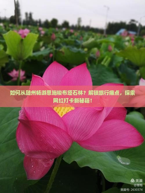 如何从随州畅游恩施梭布垭石林？解锁旅行痛点，探索网红打卡新秘籍！