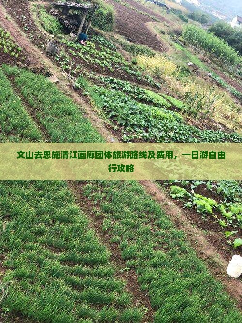 文山去恩施清江画廊团体旅游路线及费用，一日游自由行攻略