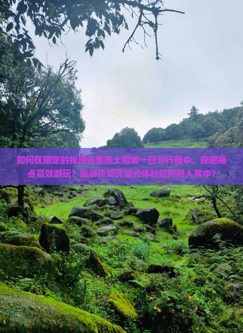 如何在限定的松原去恩施土司城一日游行程中，规避痛点高效游玩？旅游热词沉浸式体验如何融入其中？