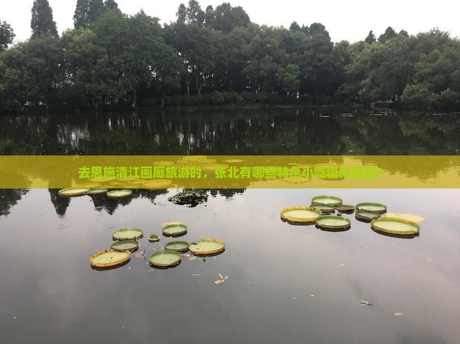 去恩施清江画廊旅游时，张北有哪些特色小吃值得品尝？