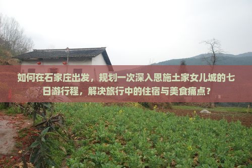 如何在石家庄出发，规划一次深入恩施土家女儿城的七日游行程，解决旅行中的住宿与美食痛点？