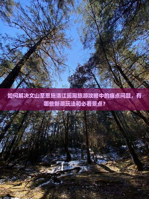 如何解决文山至恩施清江画廊旅游攻略中的痛点问题，有哪些新潮玩法和必看景点？