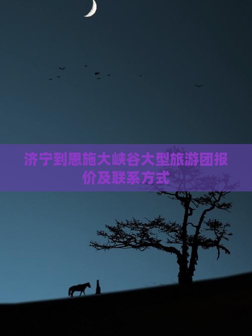 济宁到恩施大峡谷大型旅游团报价及联系方式