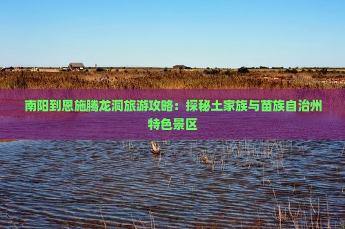 南阳到恩施腾龙洞旅游攻略：探秘土家族与苗族自治州特色景区