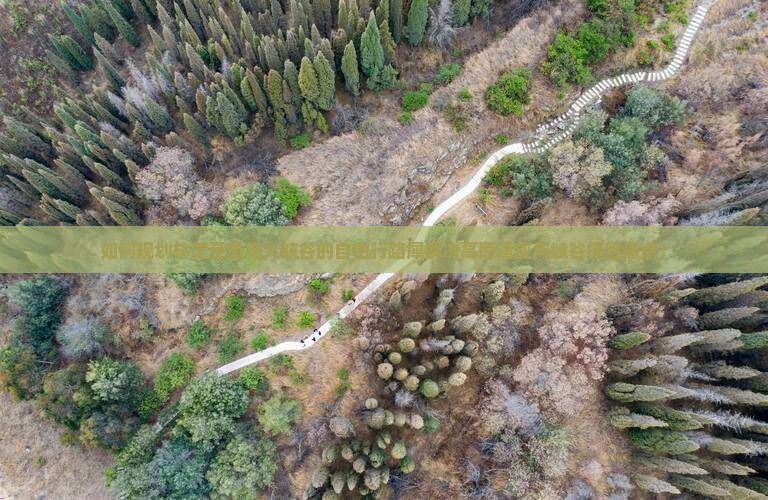 如何规划林芝至恩施大峡谷的自由行路犀解决高原适应与峡谷探险痛点？