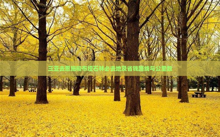 三亚去恩施梭布垭石林必去地及省钱路线与公里数