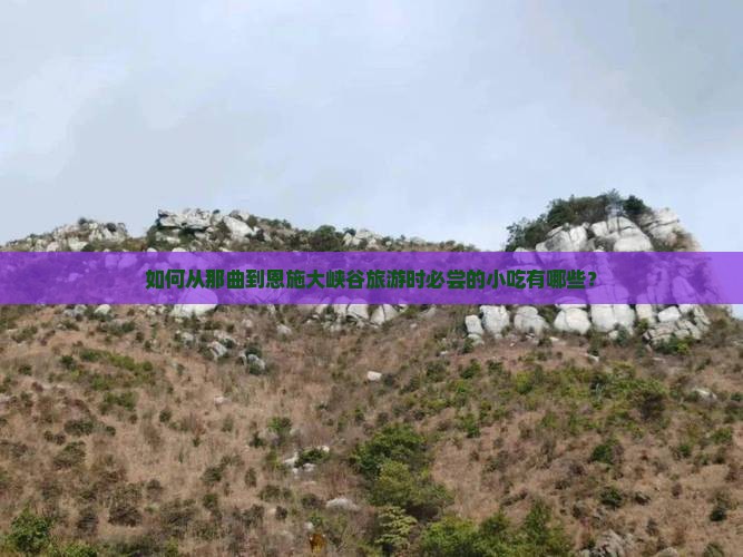 如何从那曲到恩施大峡谷旅游时必尝的小吃有哪些？