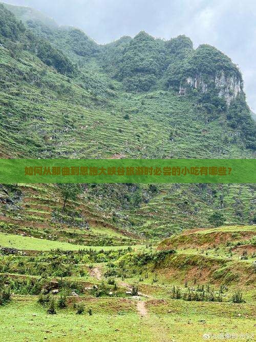 如何从那曲到恩施大峡谷旅游时必尝的小吃有哪些？