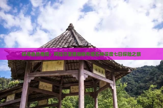 探寻自然奇观：阿拉尔至恩施梭布垭石林深度七日探险之旅