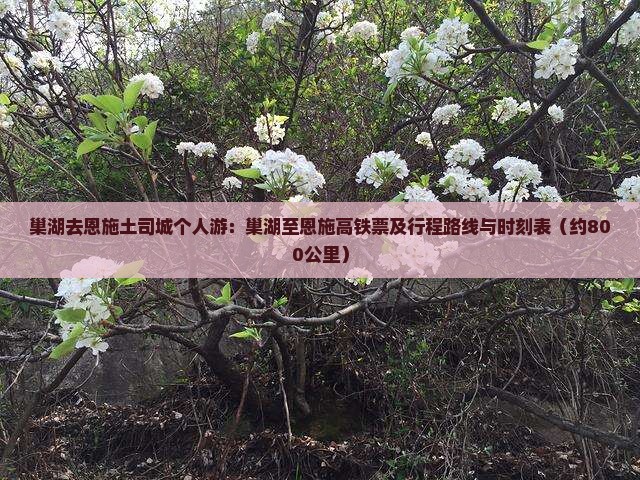 巢湖去恩施土司城个人游：巢湖至恩施高铁票及行程路线与时刻表（约800公里）