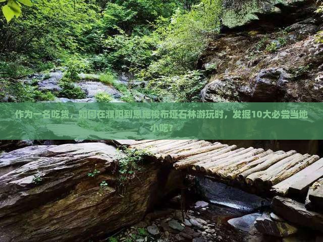 作为一名吃货，如何在濮阳到恩施梭布垭石林游玩时，发掘10大必尝当地小吃？