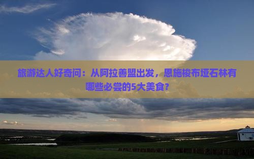 旅游达人好奇问：从阿拉善盟出发，恩施梭布垭石林有哪些必尝的5大美食？
