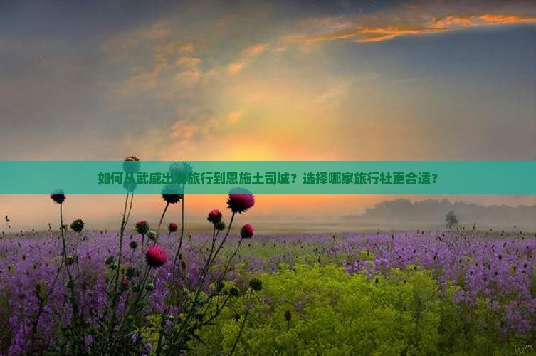 如何从武威出发旅行到恩施土司城？选择哪家旅行社更合适？