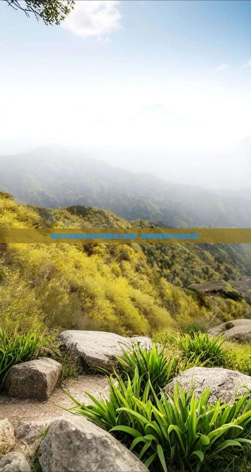 如何从武威出发旅行到恩施土司城？选择哪家旅行社更合适？