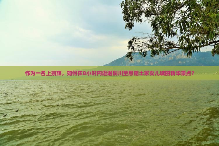 作为一名上班族，如何在8小时内逛遍铜川至恩施土家女儿城的精华景点？