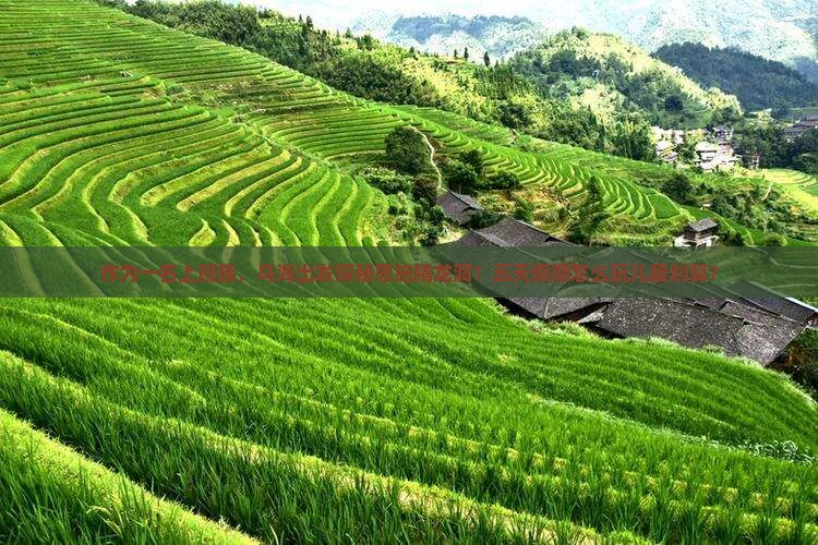 作为一名上班族，乌海出发探秘恩施腾龙洞！五天假期怎么玩儿最划算？
