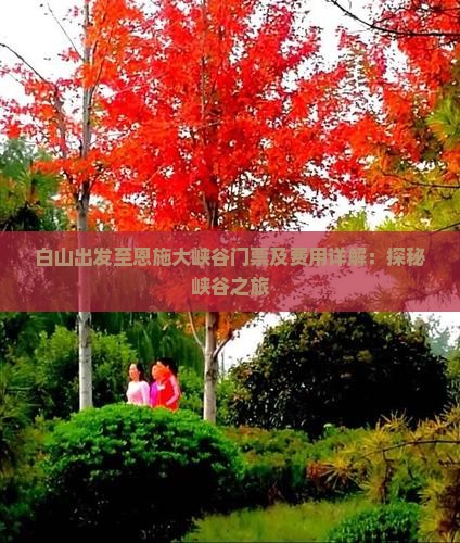 白山出发至恩施大峡谷门票及费用详解：探秘峡谷之旅