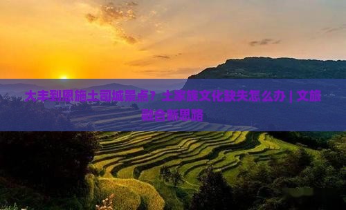 大丰到恩施土司城景点？土家族文化缺失怎么办 | 文旅融合新思路