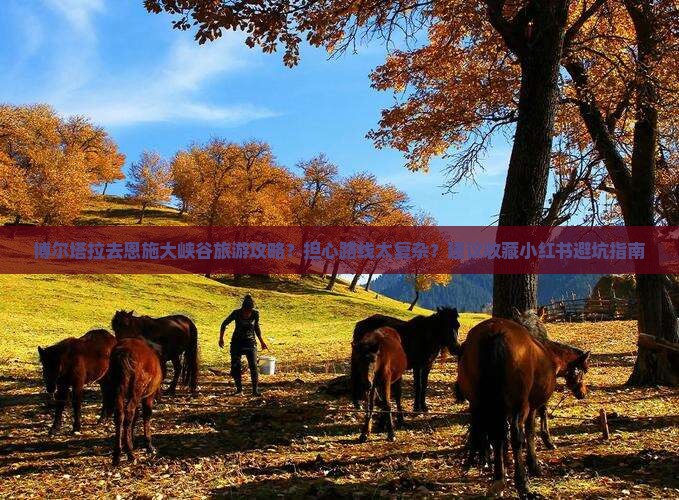 博尔塔拉去恩施大峡谷旅游攻略？担心路线太复杂？建议收藏小红书避坑指南