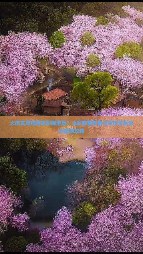 大庆去恩施腾龙洞哪里玩