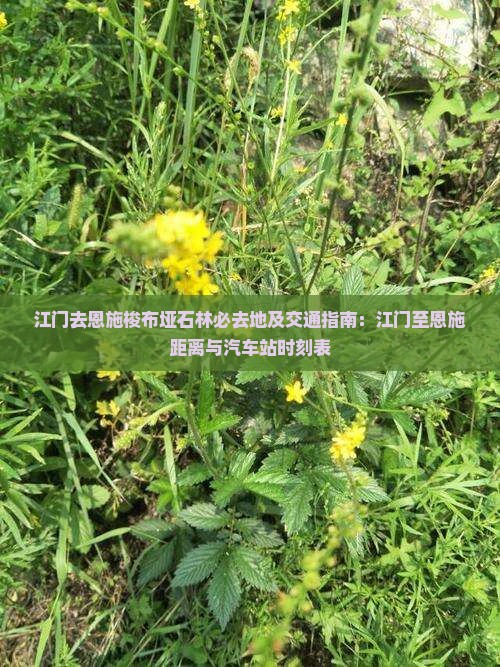 江门去恩施梭布垭石林必去地