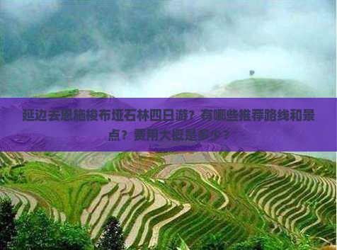 延边去恩施梭布垭石林四日游
