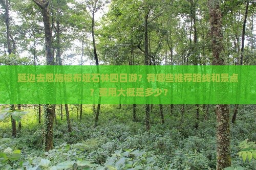 延边去恩施梭布垭石林四日游