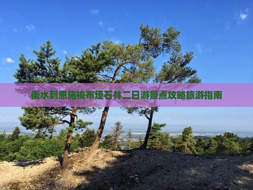 衡水去恩施梭布垭石林二日游