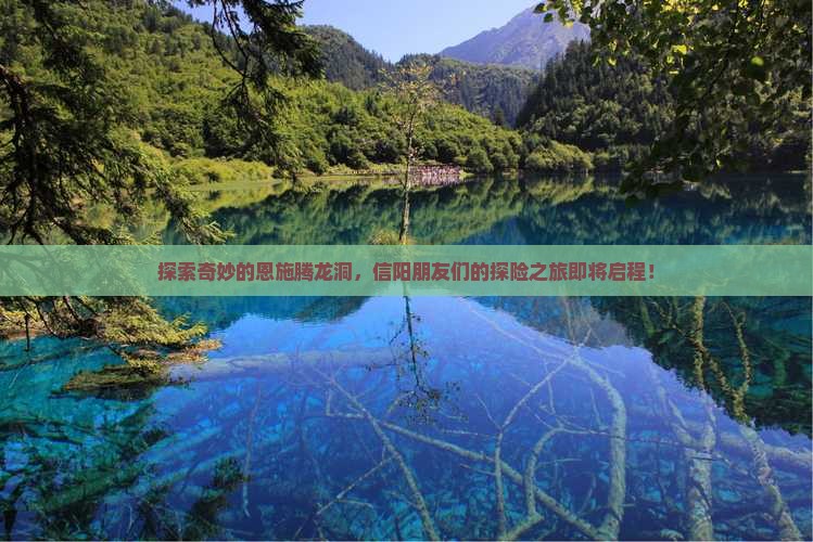 信阳去恩施腾龙洞团体旅游