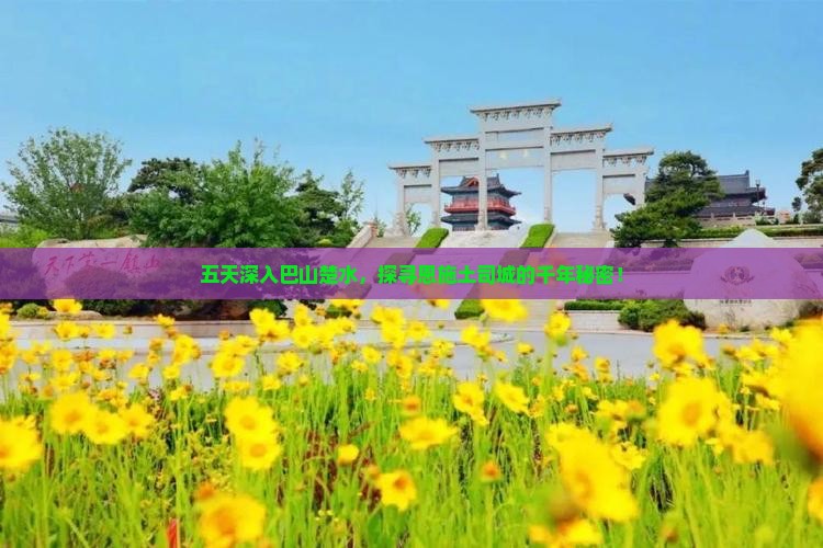 巴中去恩施土司城五日游