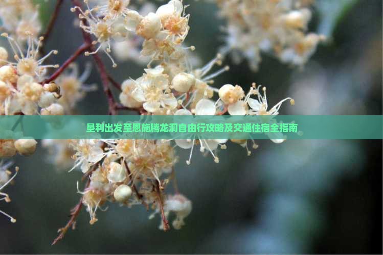 垦利到恩施腾龙洞自由行