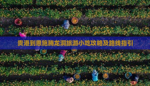 贵港到恩施腾龙洞旅游小吃