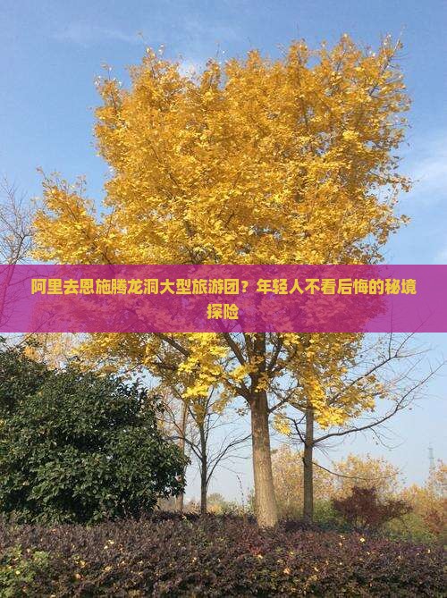 阿里去恩施腾龙洞大型旅游团