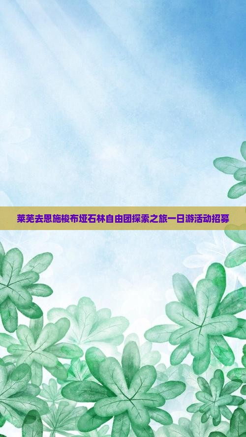 莱芜去恩施梭布垭石林自由团